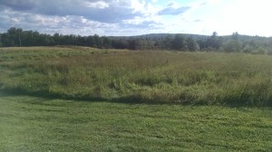 IMG_20150801_180820544