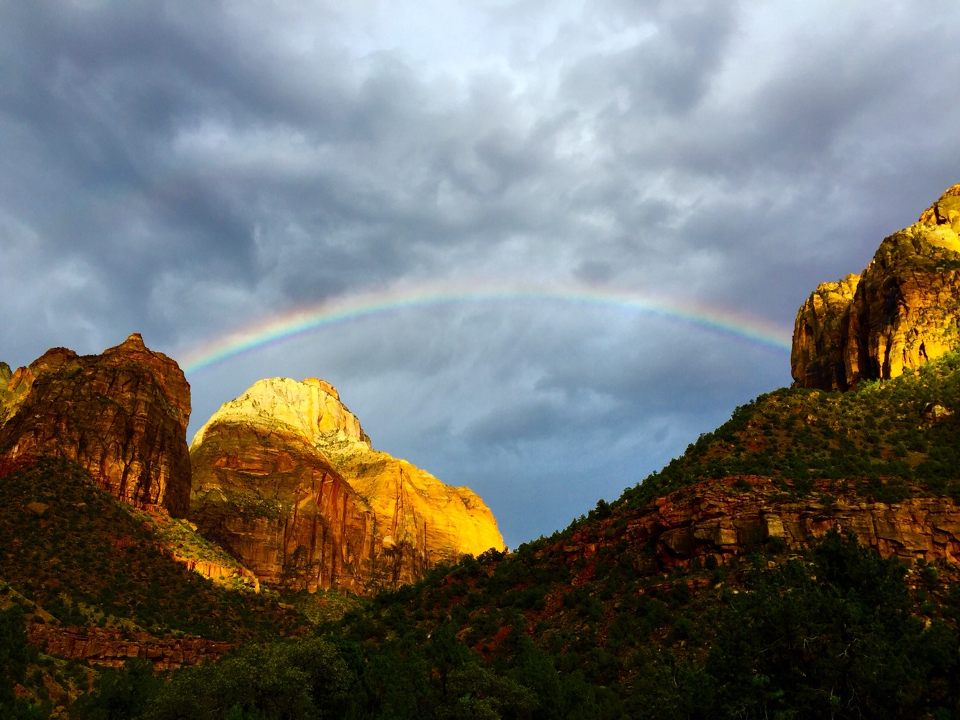 1334x1000.jpeg.dbbb0309d941407eba1db91089b2c66f